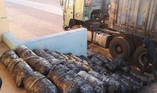 Улсын хилээр 600 кг дэрвэгэр жирвэгэрүү ургамлын үндэс нууж нэвтрүүлэхийг завджээ